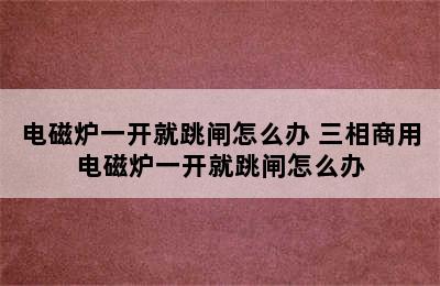 电磁炉一开就跳闸怎么办 三相商用电磁炉一开就跳闸怎么办